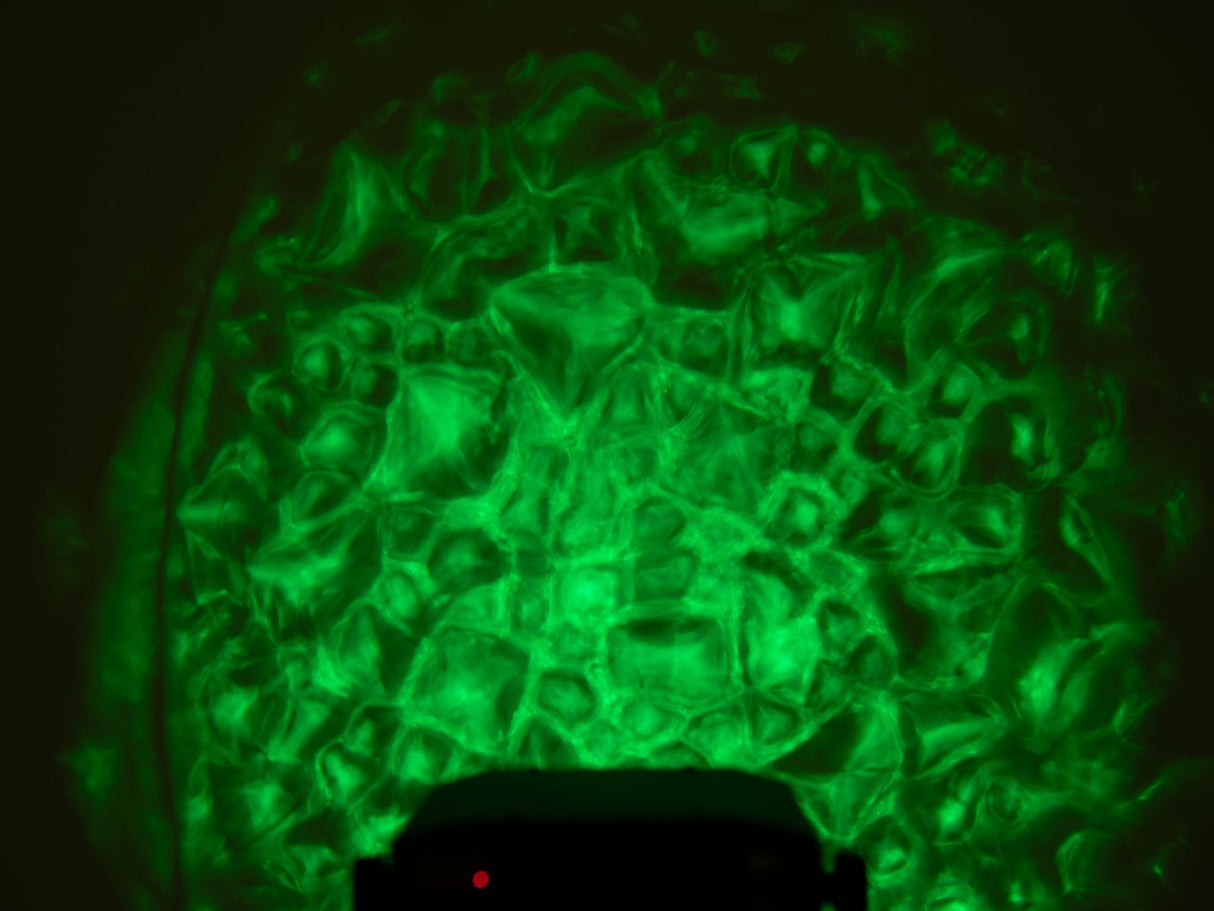 Eurolite WF-30 H2O-effekt (DMX)