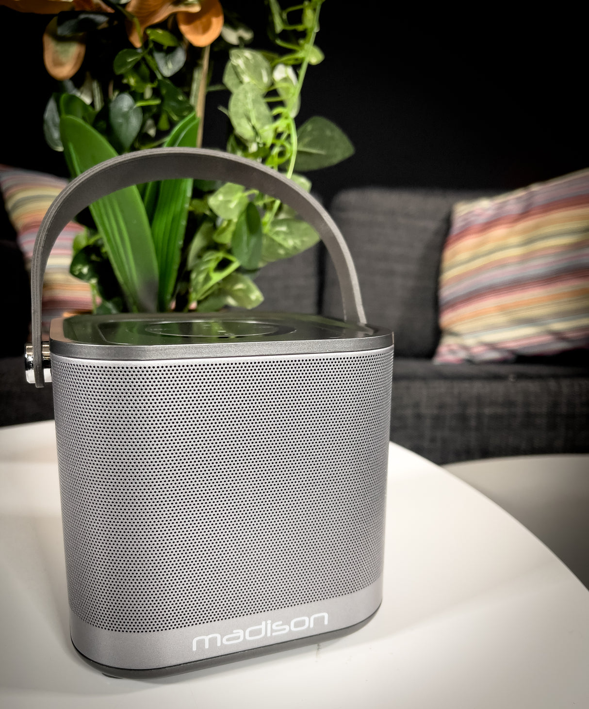 Madison trådlös WiFi-högtalare