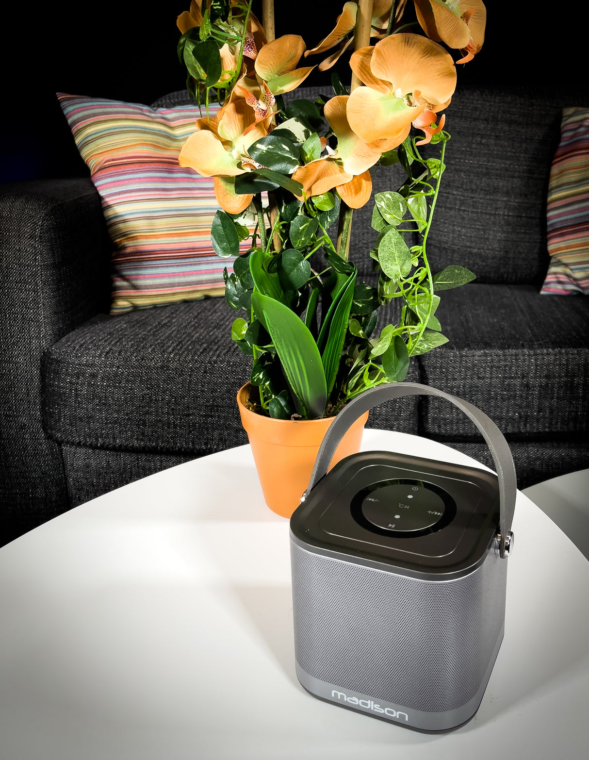 Madison trådlös WiFi-högtalare