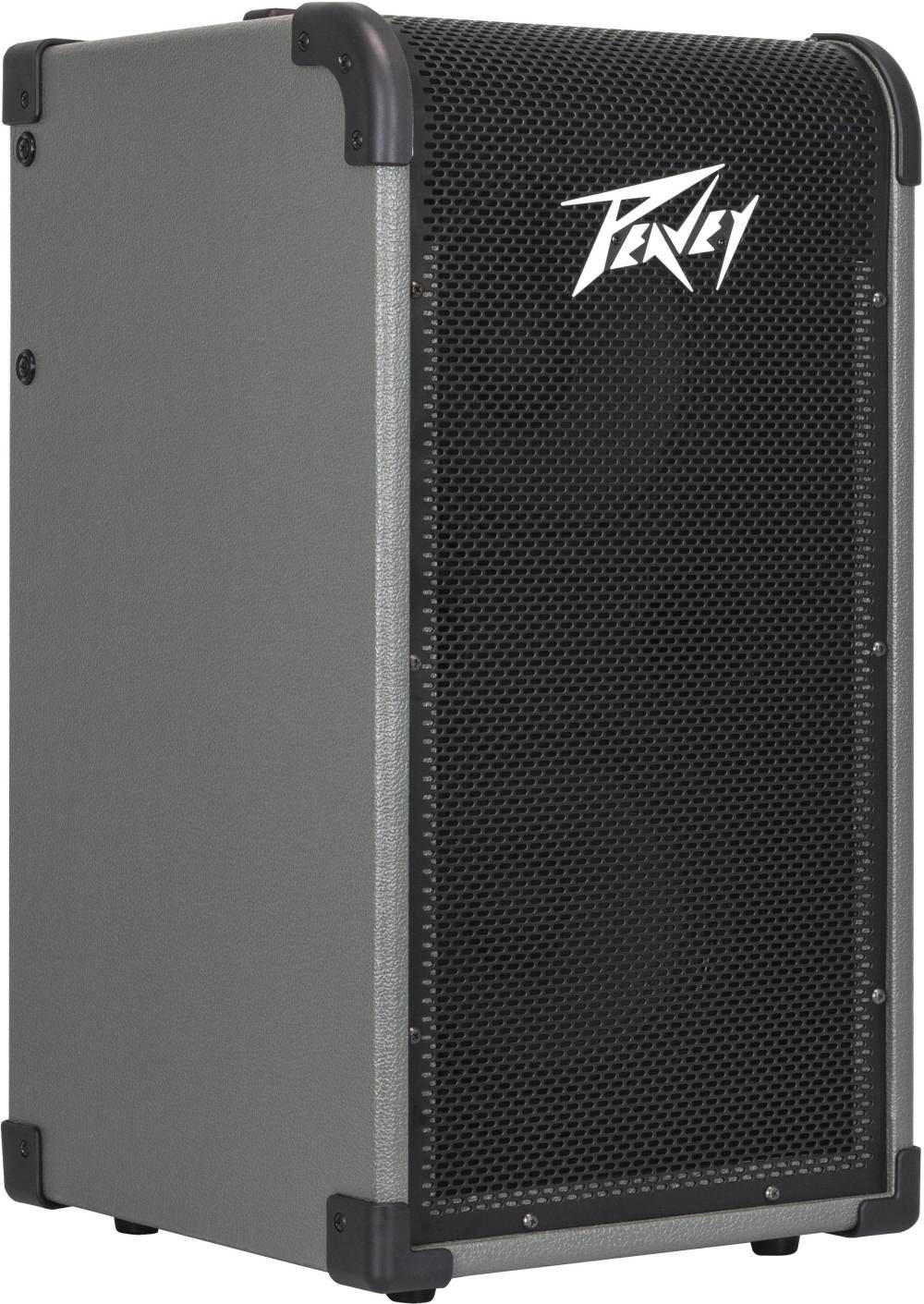 Peavey MAX208 bascombo