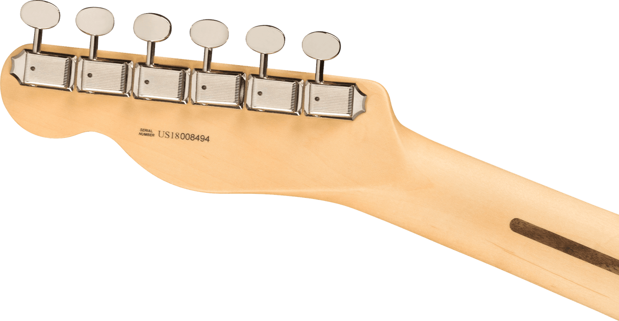 Fender American Performer Telecaster elgitarr (aubergine)