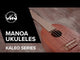GEWA tenor Ukulele Manoa Kaleo - tenor (Sapelli matt)